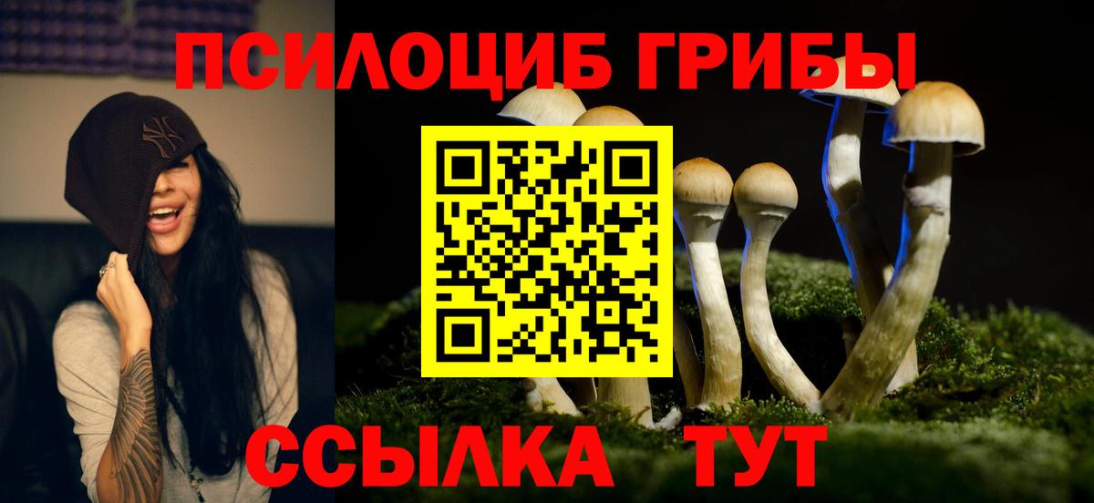 Псилоцибиновые грибы Cubensis  Псилоцибиновые грибы ЛСД  Вход с VPN  Муравленко 